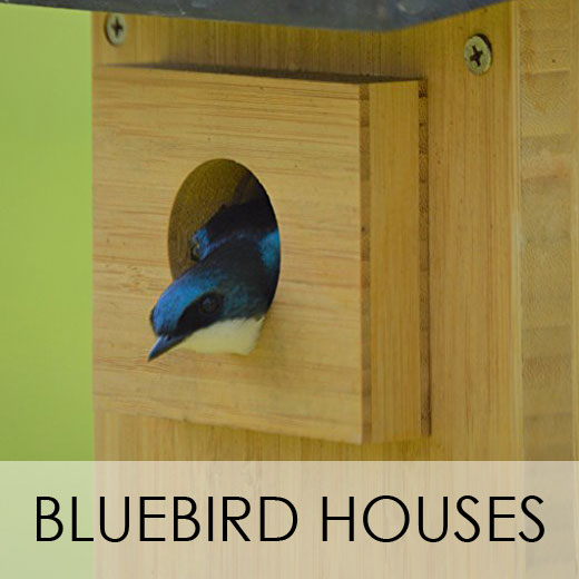 Bluebird Houses