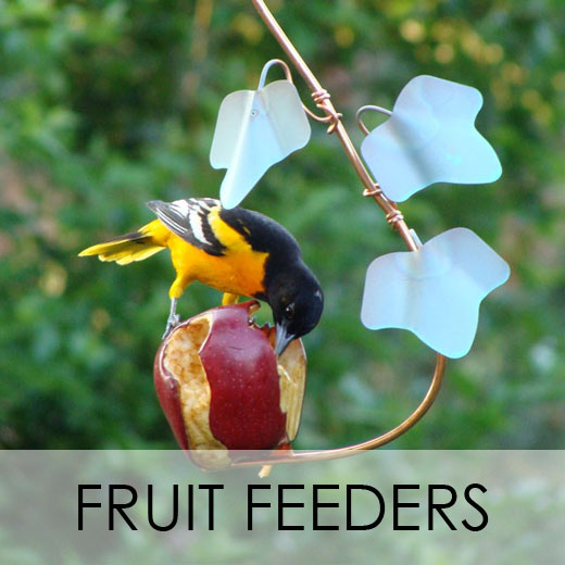 Fruit Bird Feeders