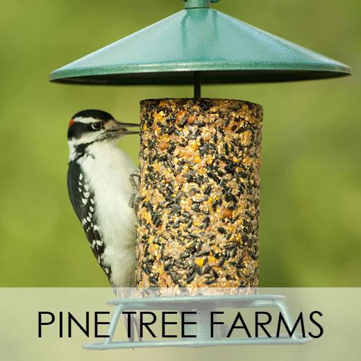 Pine Tree Farms Bird Food