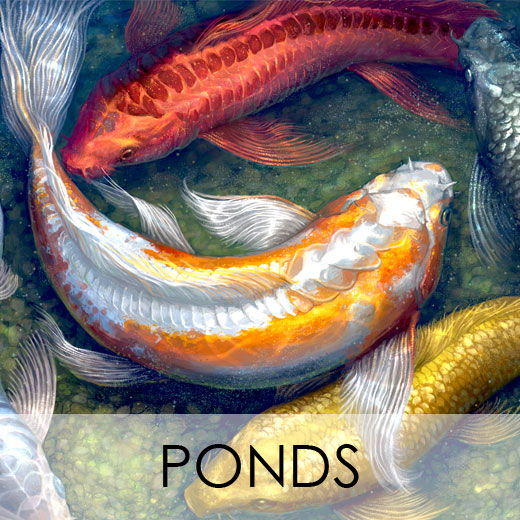 Ponds and Pond Supplies