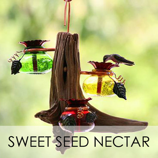 Sweet Seed Hummingbird Nectar